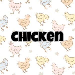 Chicken